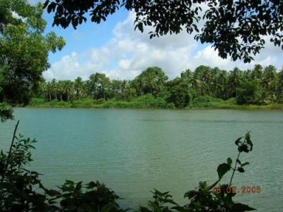 The blue sky and the green river