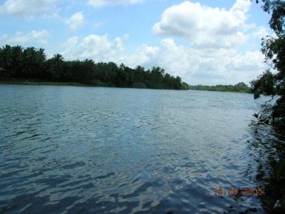 The Backwaters